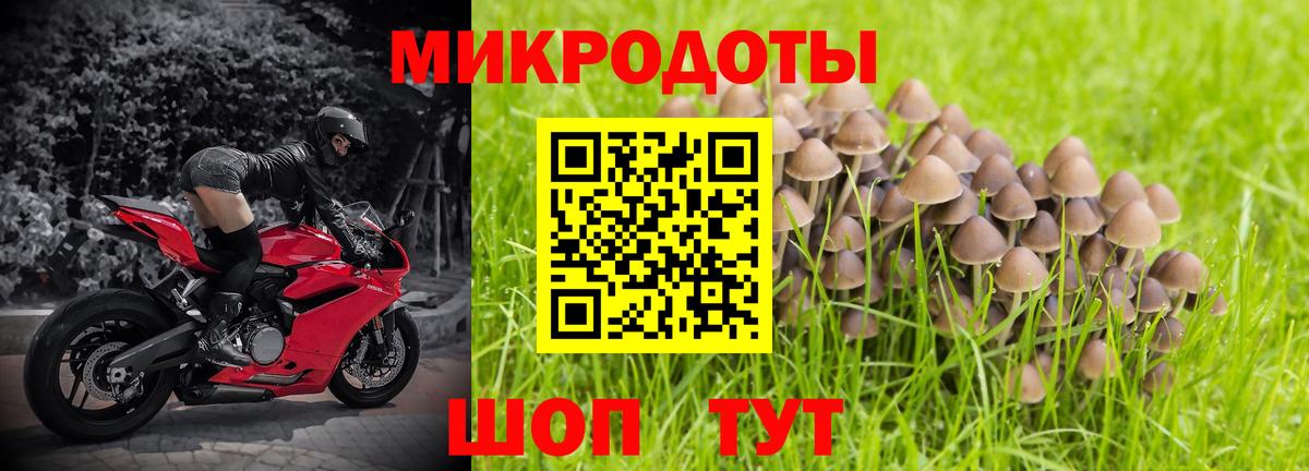 Псилоцибиновые грибы GOLDEN TEACHER Богородицк