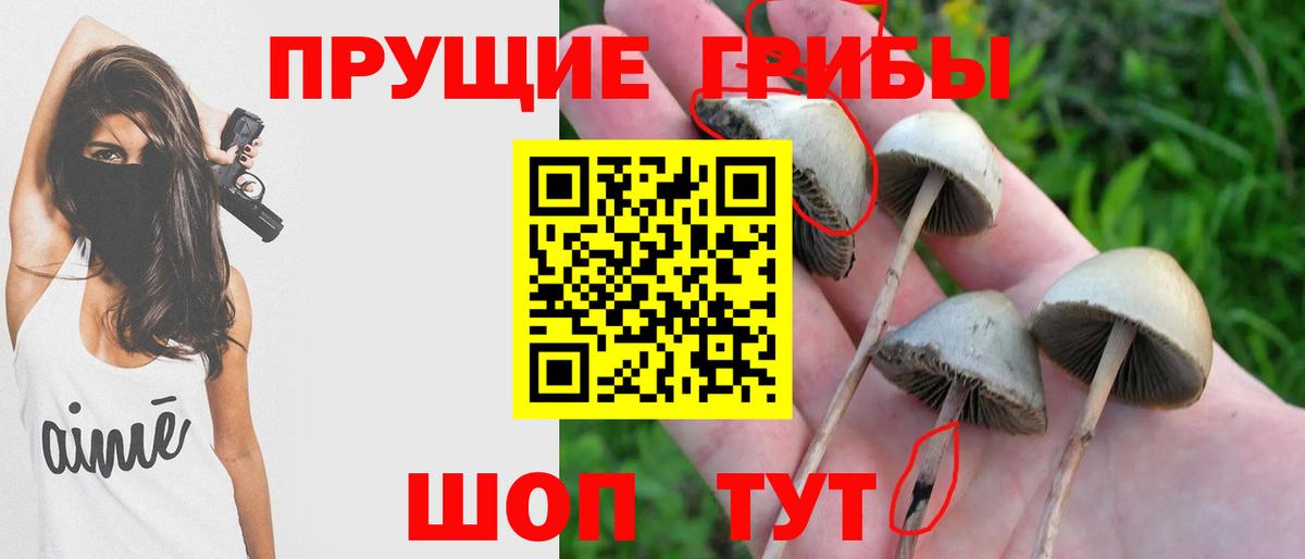 Псилоцибиновые грибы прущие грибы  Вход с VPN  Богородицк 