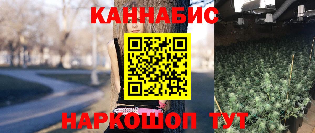 Шишки марихуана OG Kush  МАРИХУАНА сатива  Вход с VPN  Шишки марихуана Ganja  Богородицк 